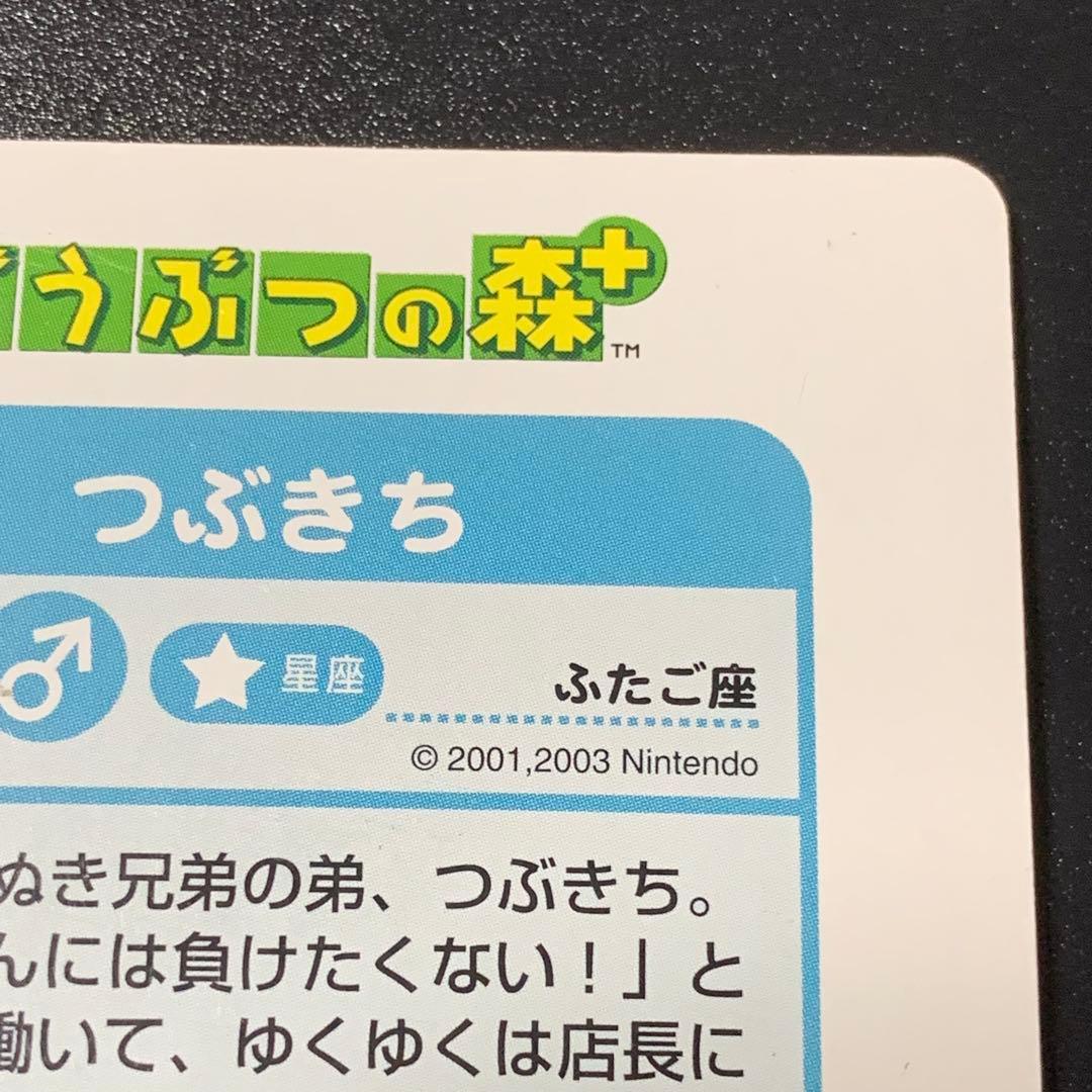 希少 どうぶつの森+ カードe つぶきちまめきち