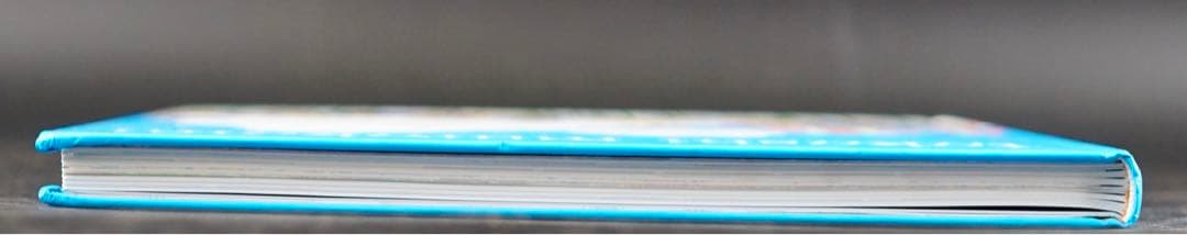 村上隆　直筆サイン入り　kaikai kiki 某有名オークション買入