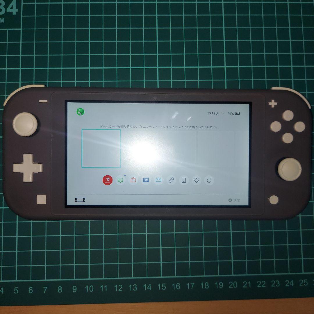 【匿名発送】 Nintendo Switch Lite グレー 本体 セット