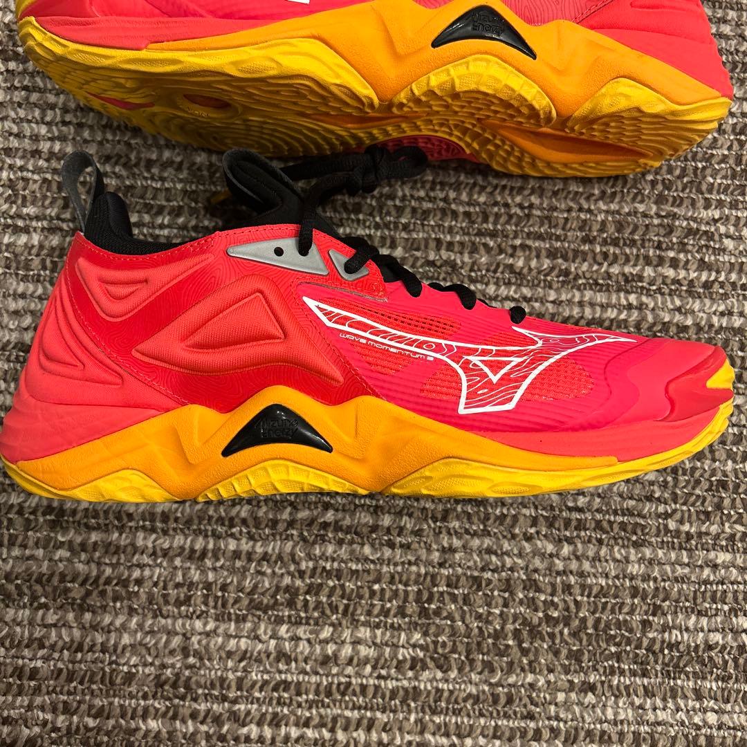 Mizuno バレーボールシューズ ウエーブモーメンタム3 28.0cm