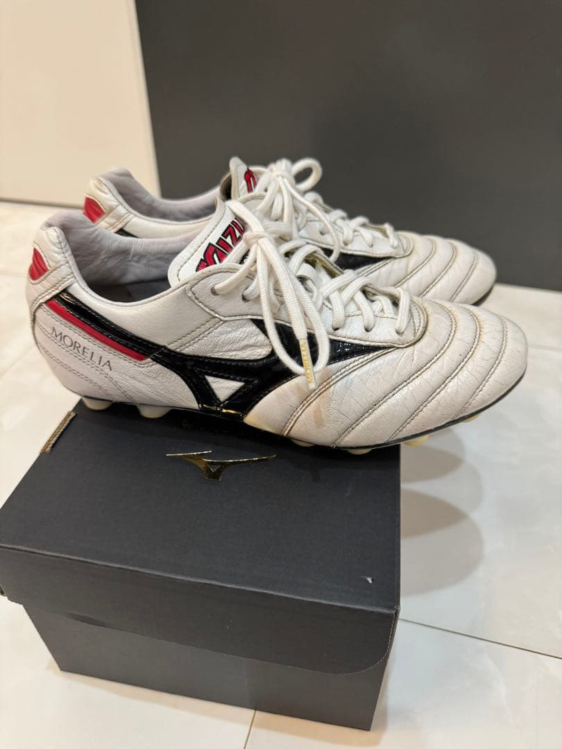 モレリア　23.0cm