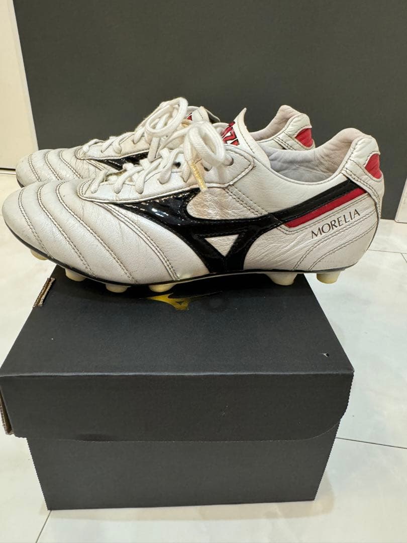 モレリア　23.0cm