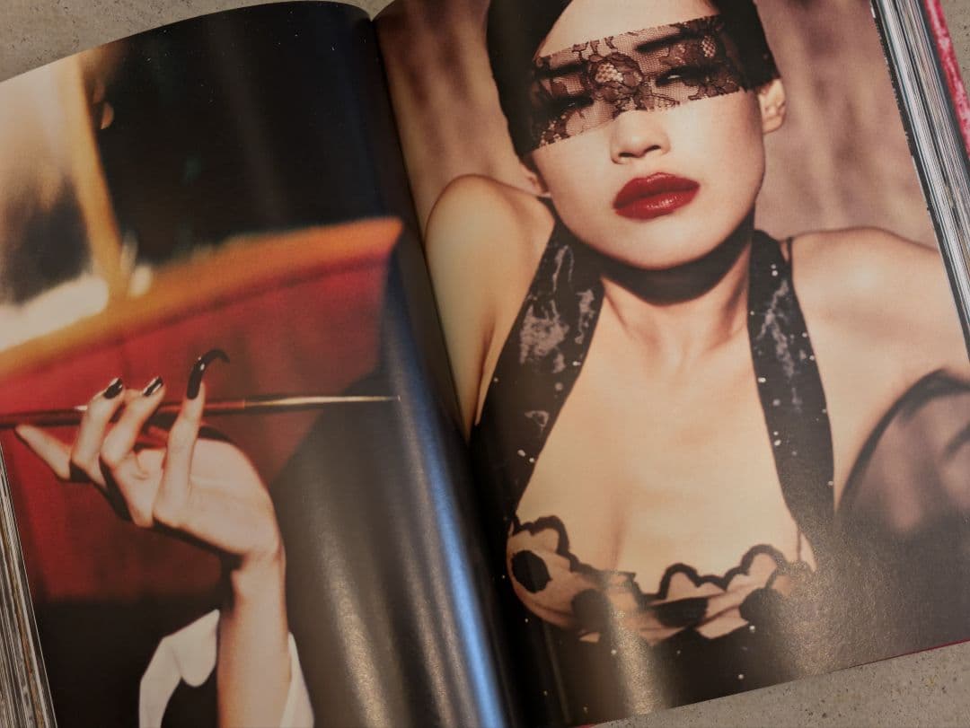 【ダメージ】Fräulein / エレン・フォン・アンワース Taschen