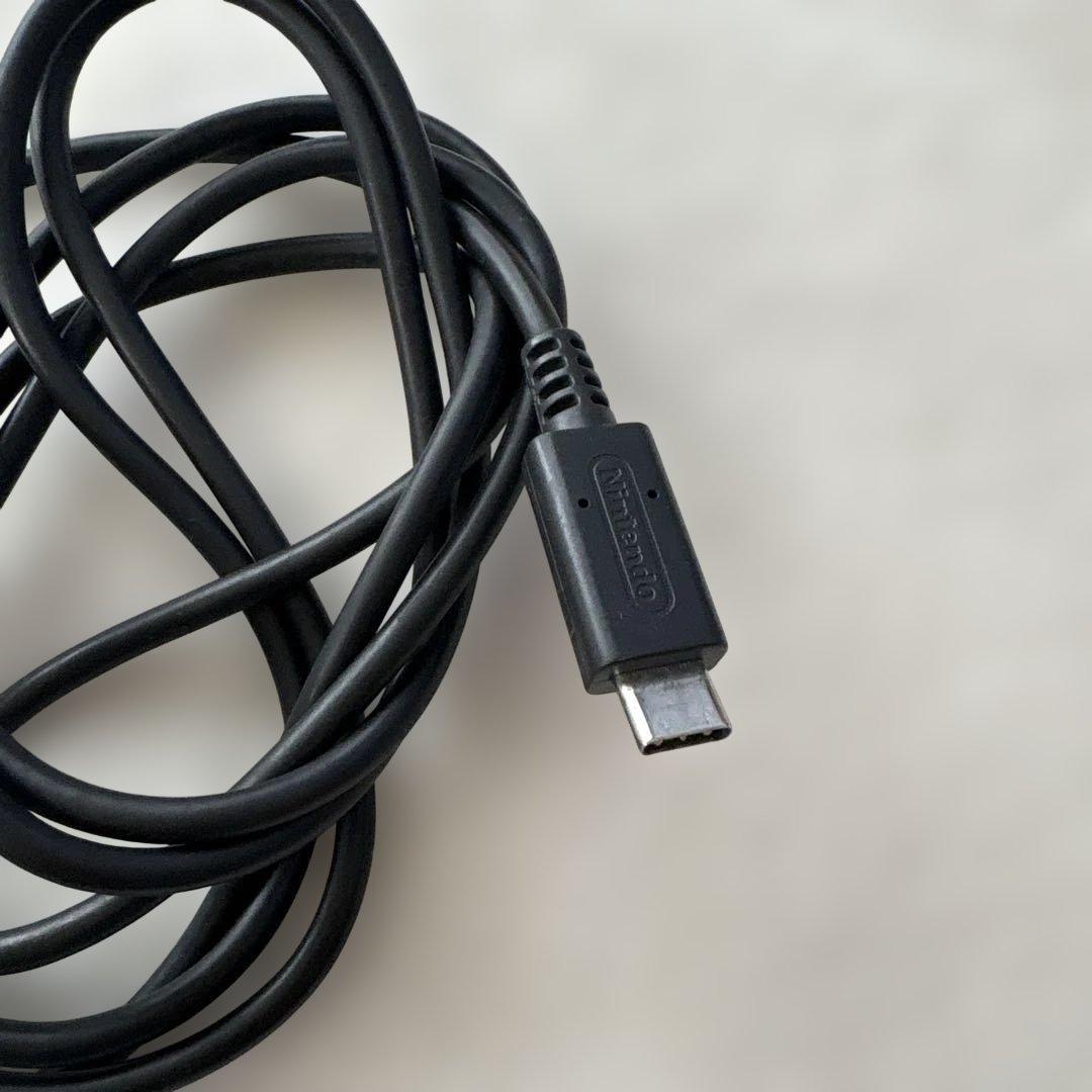 Nintendo Switch ライト　ターコイズ