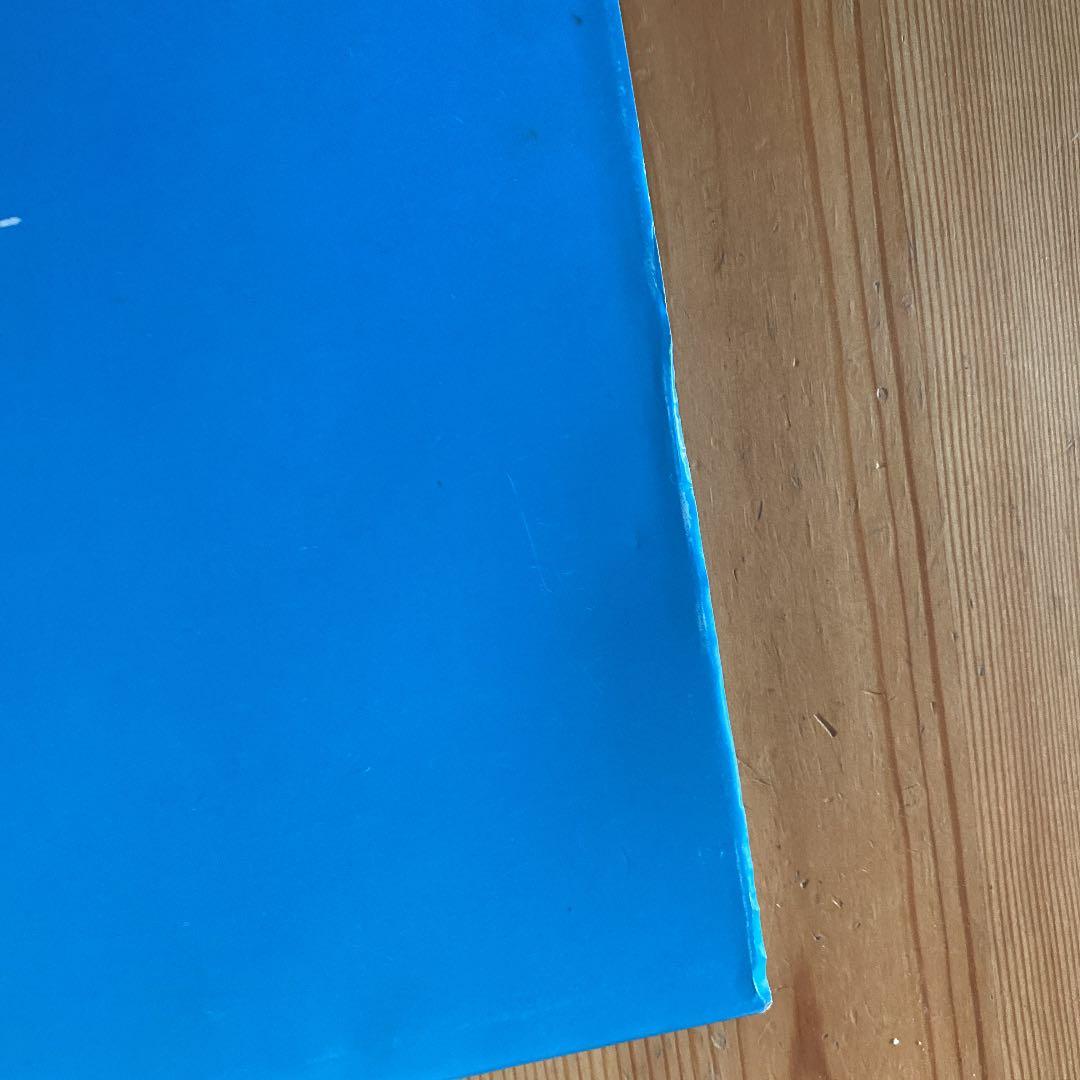 この星 野口里佳