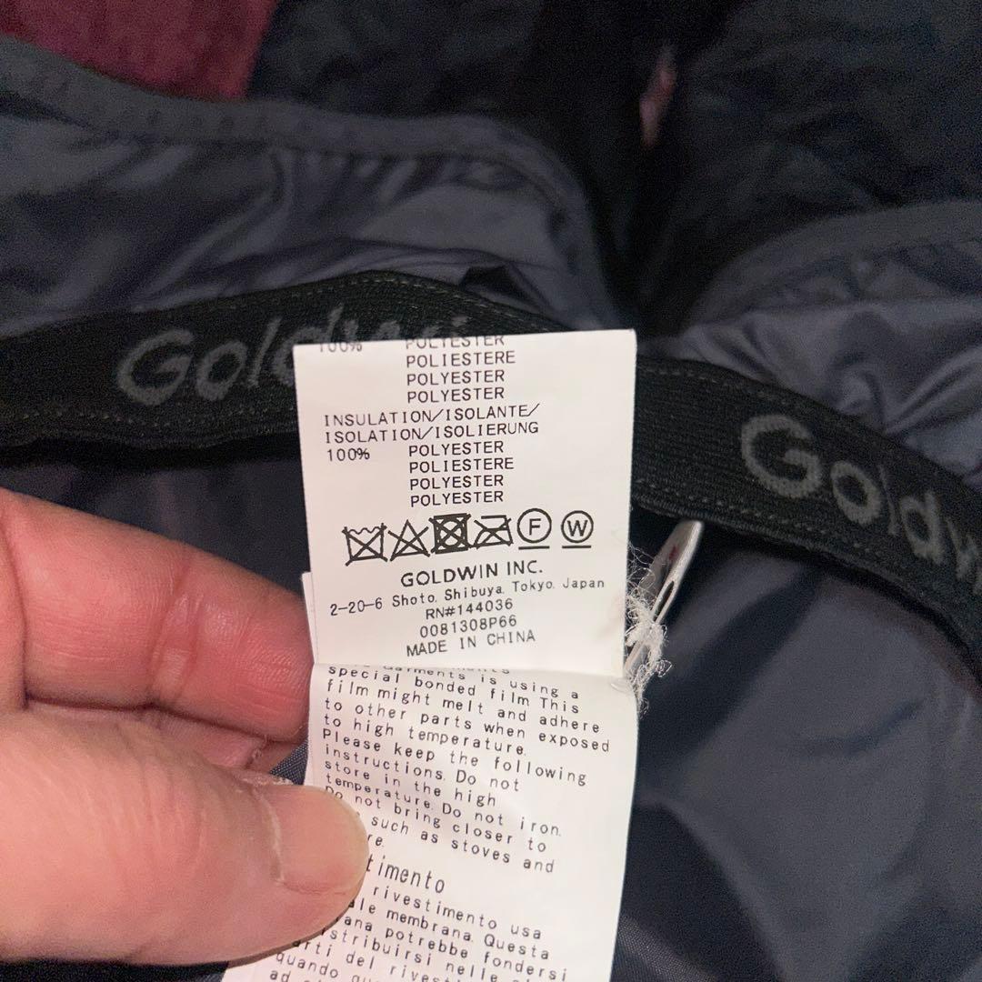 ゴールドウィン スキーウェア上下　レディースL