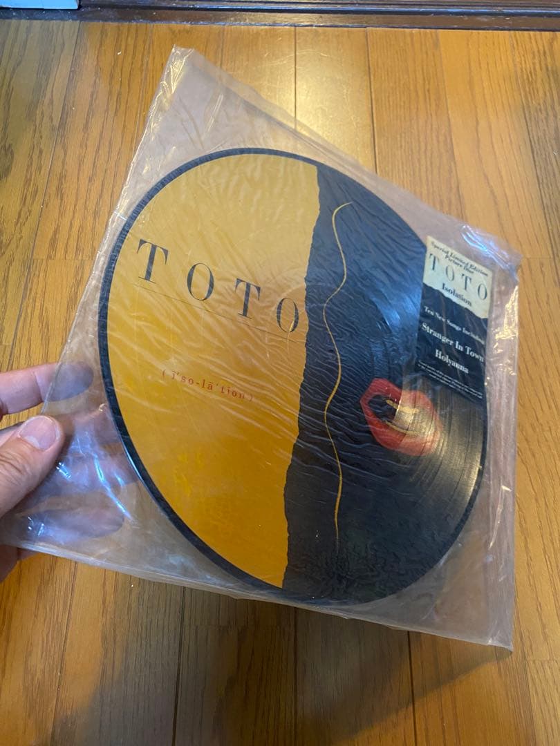 TOTO Isolation ピクチャーディスク 限定盤 レコード 未開封