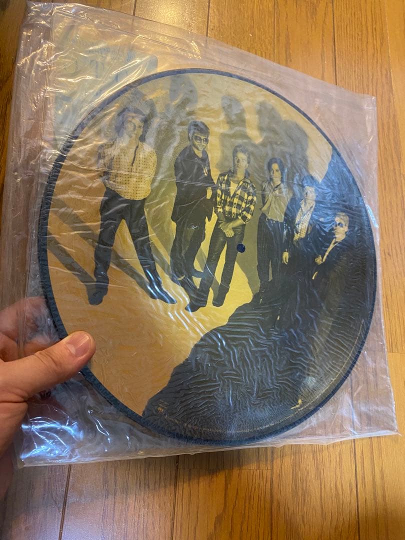 TOTO Isolation ピクチャーディスク 限定盤 レコード 未開封