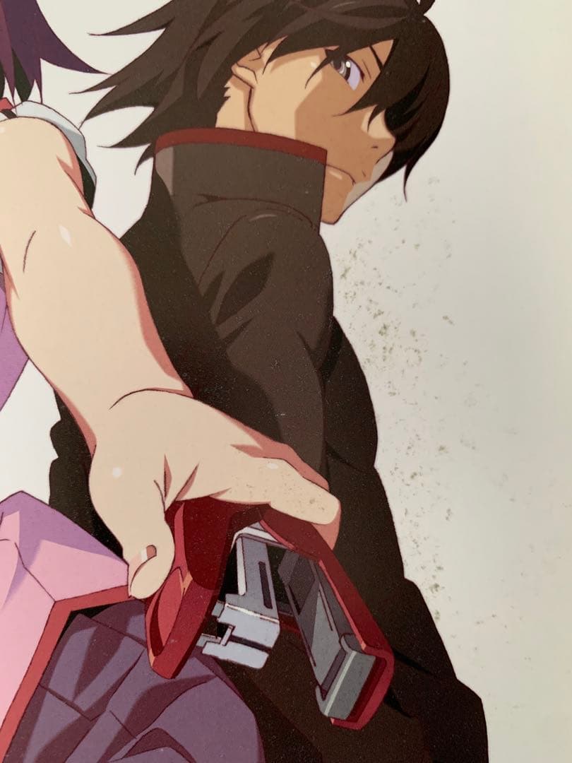 物語シリーズ 25冊セット 化物語-忍物語 西尾維新　小説　まとめ売り