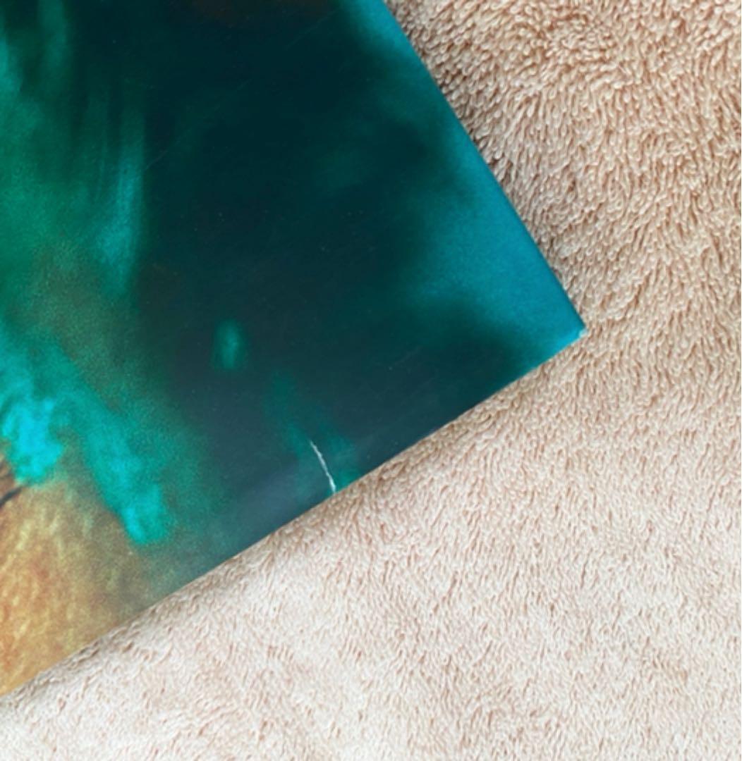 マリオ・テスティノの作品集『PORTRAITS 』