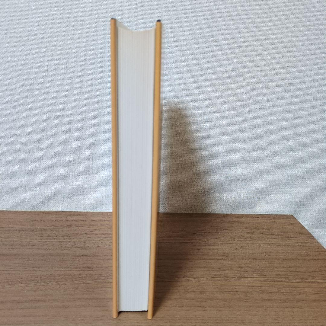 ビジネス・経済 INVESTMENT UNDER UNCERTAINTY