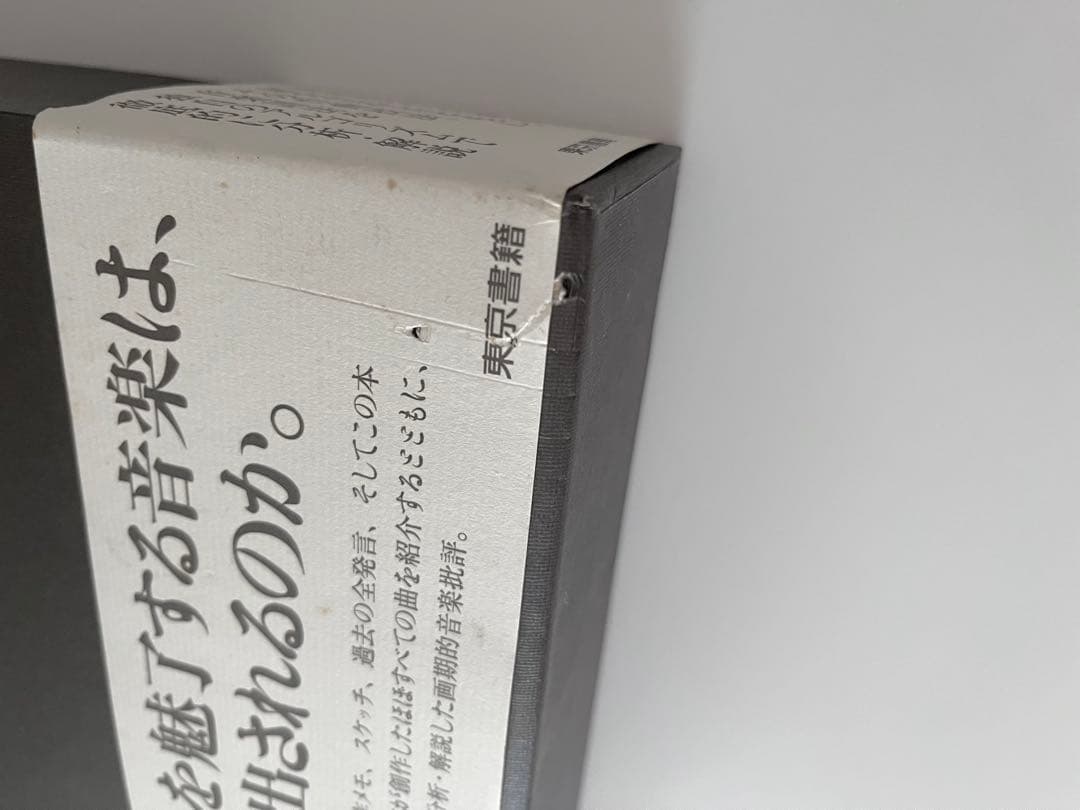 坂本龍一の音楽（山下邦彦 編著）