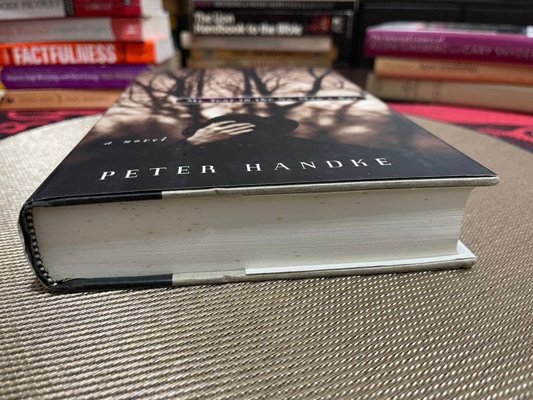 洋書 My Year in the No-Man's-Bay