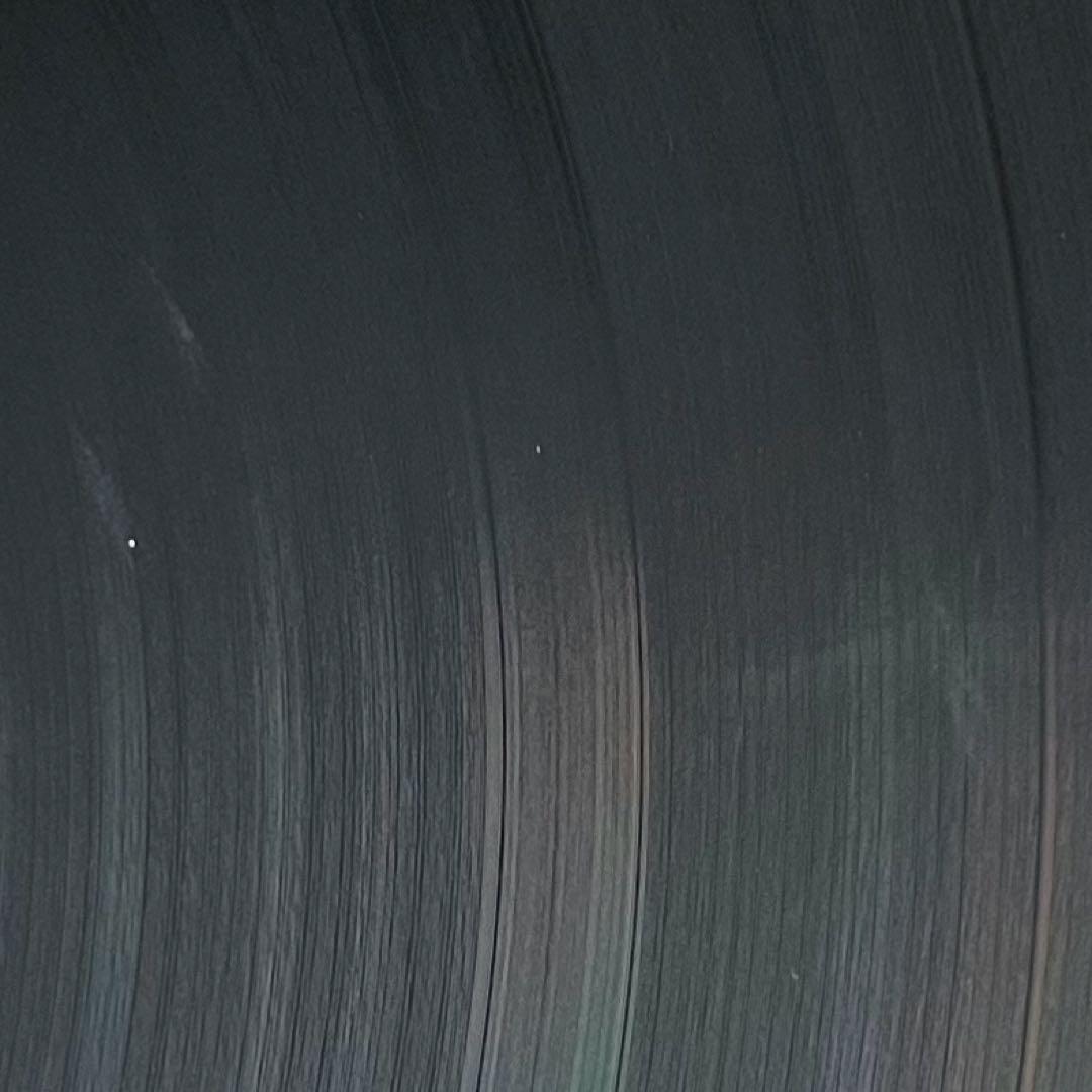 【2LP/US盤】KORN / Issues E263710