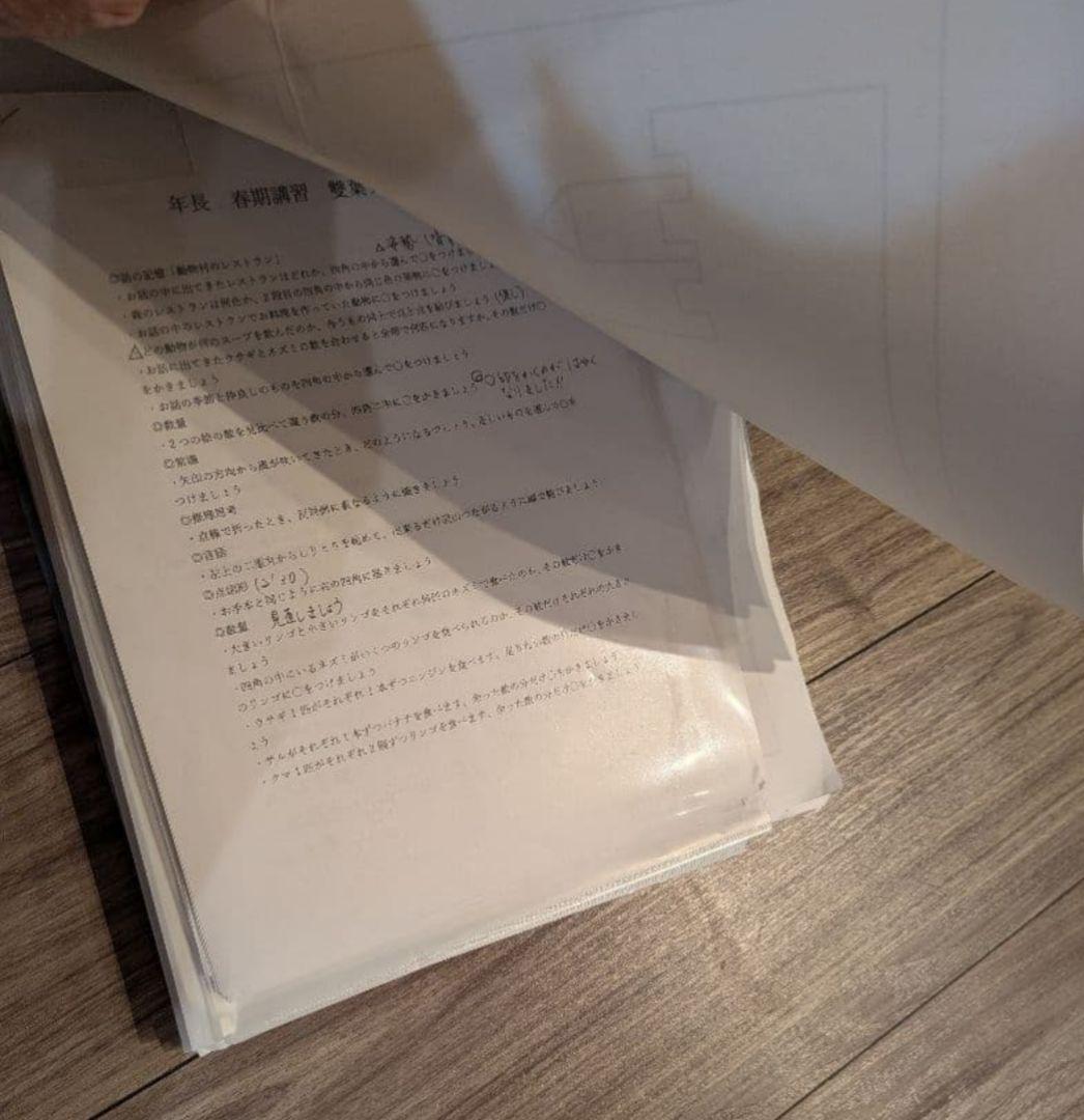 【伸芽会】 新年長 小学校受験対策 女子最難関対策向け