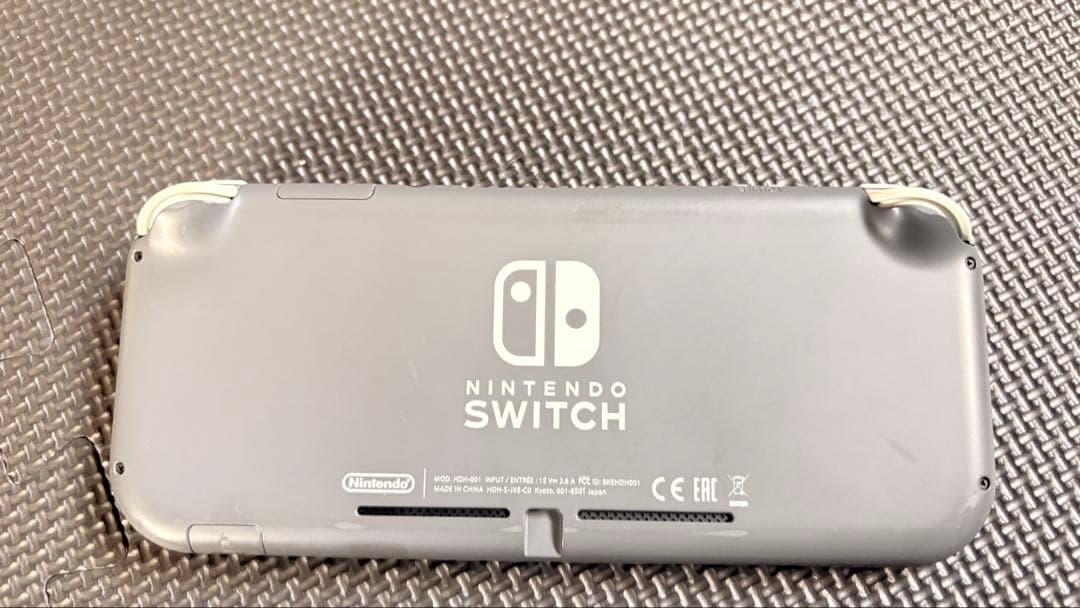 Nintendo Switch Lite グレー 本体 + ケース