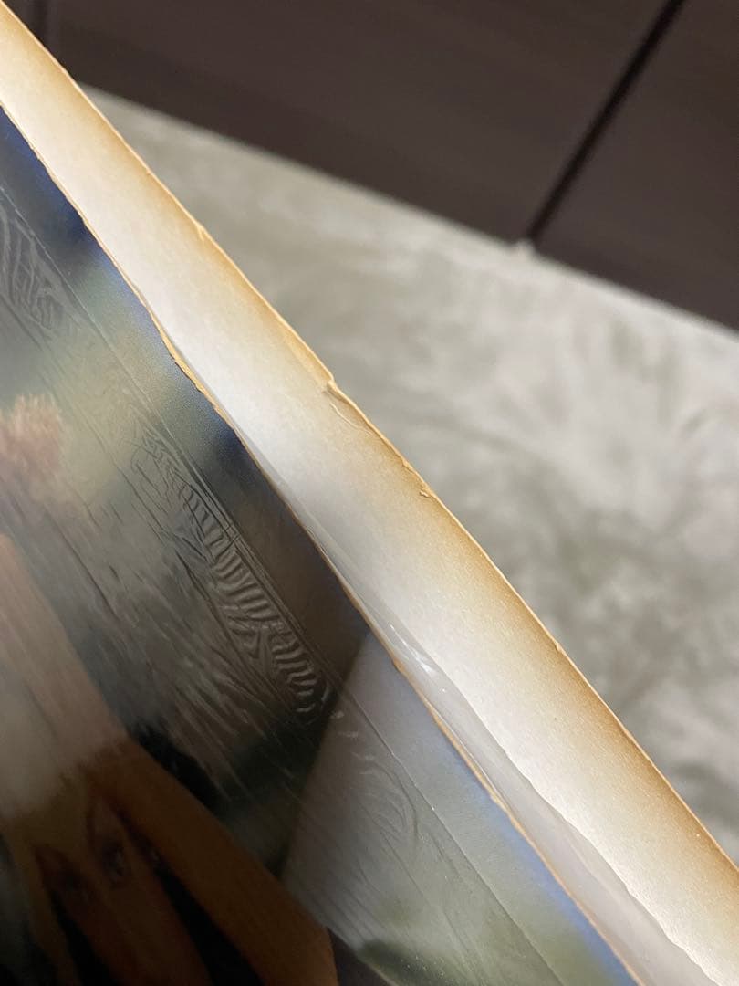 【美品レア・USオリジナル】Adriana Evans アルバム レコード