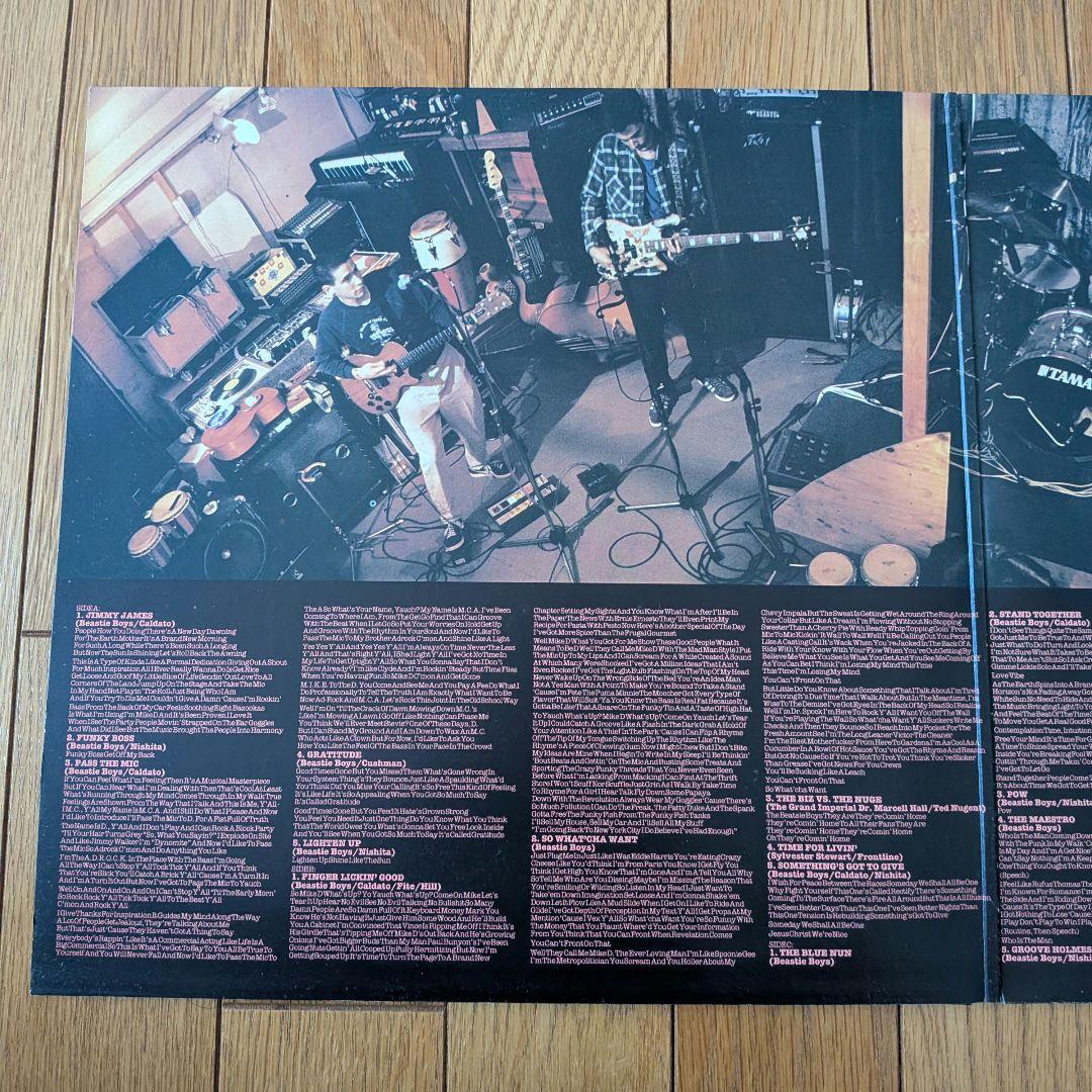 Beastie Boys Check Your Head 2LP US盤