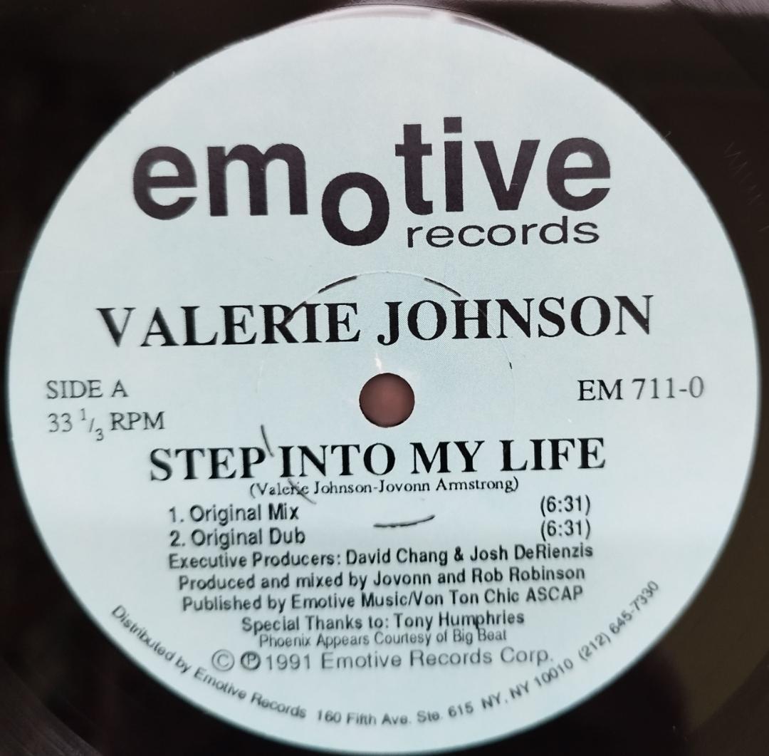 送料無料 超レアHOUSE/GARAGE系12インチ20枚まとめ売り#DANCE