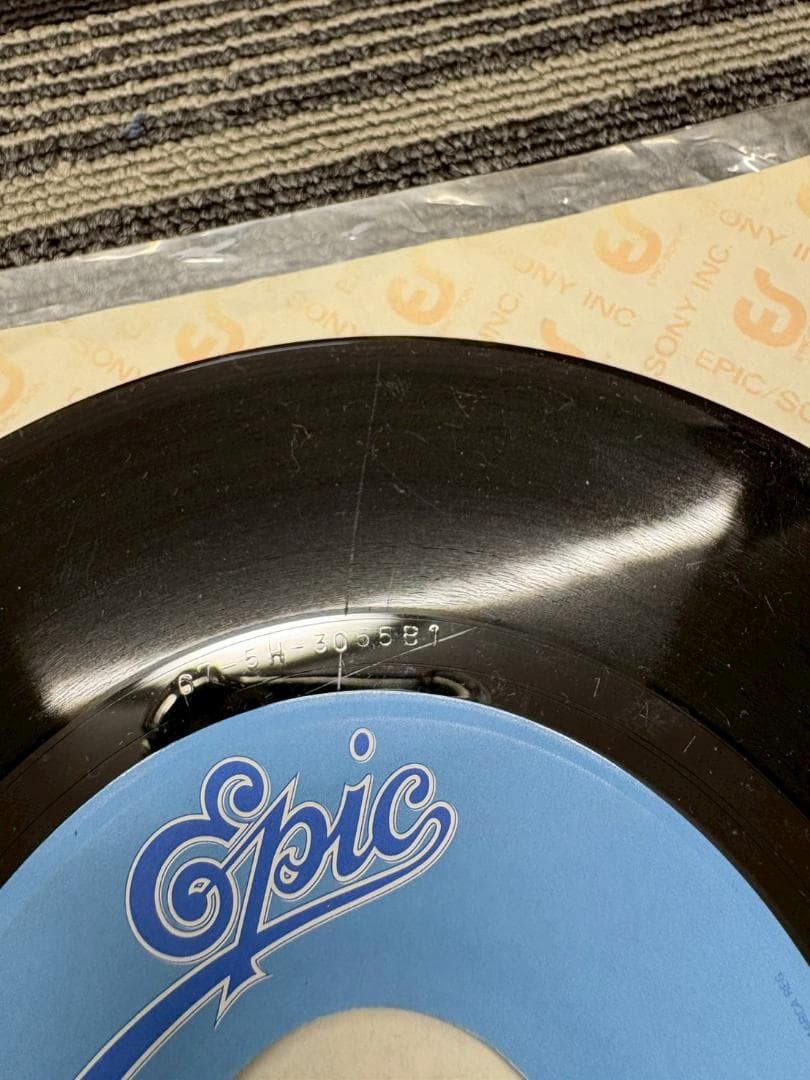 FENCE OF DEFENSE セイラ / シティハンター