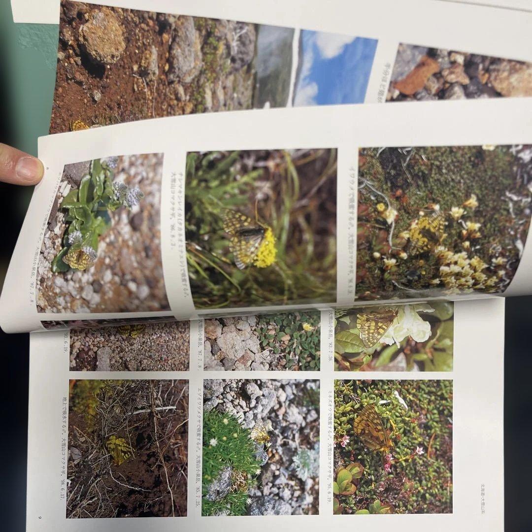 ウスバキチョウ 渡辺康之著