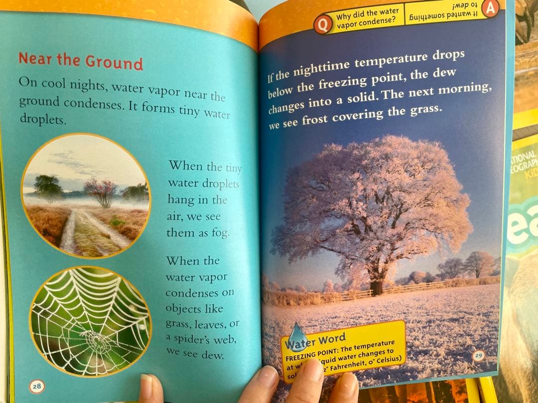 新品National Geographic Kids L3/38冊英語絵本　洋書