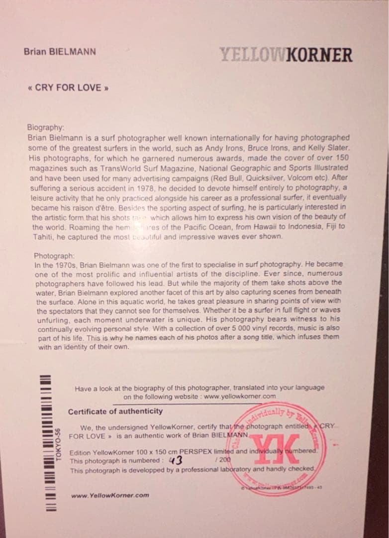 アートフォトYellowKorner