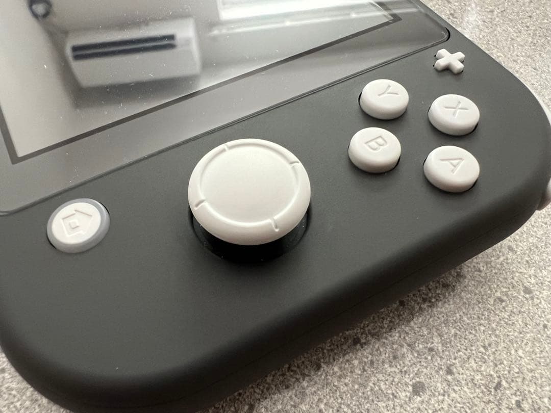 【超美品】Nintendo Switch Lite グレー 本体　ケース付き