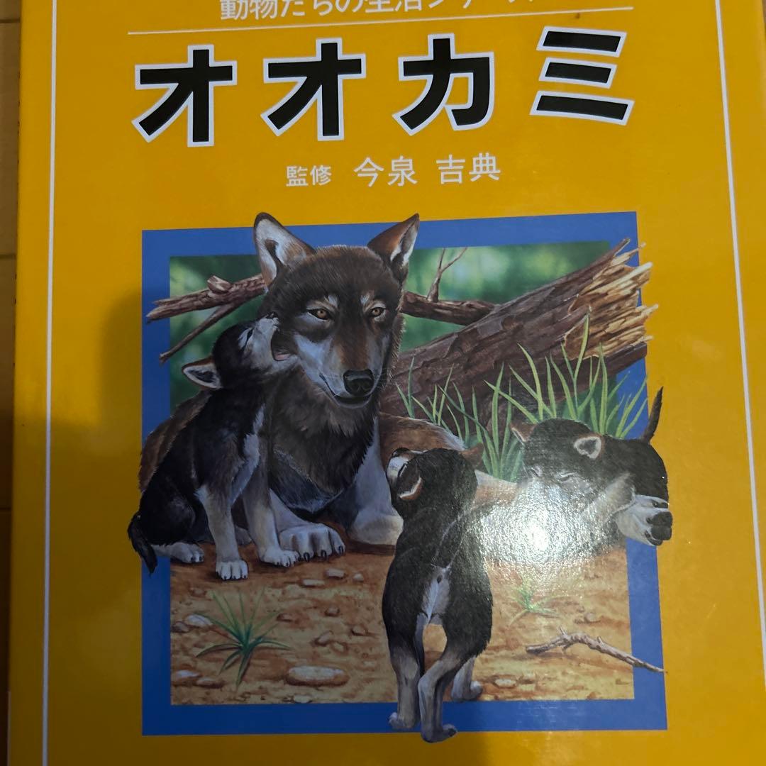 【レア】ニュートンジュニアブックス全20巻