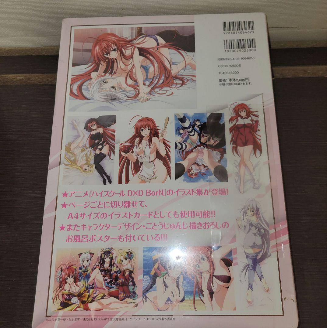 ハイスクールD×D NEW BorN ビジュアルコレクション