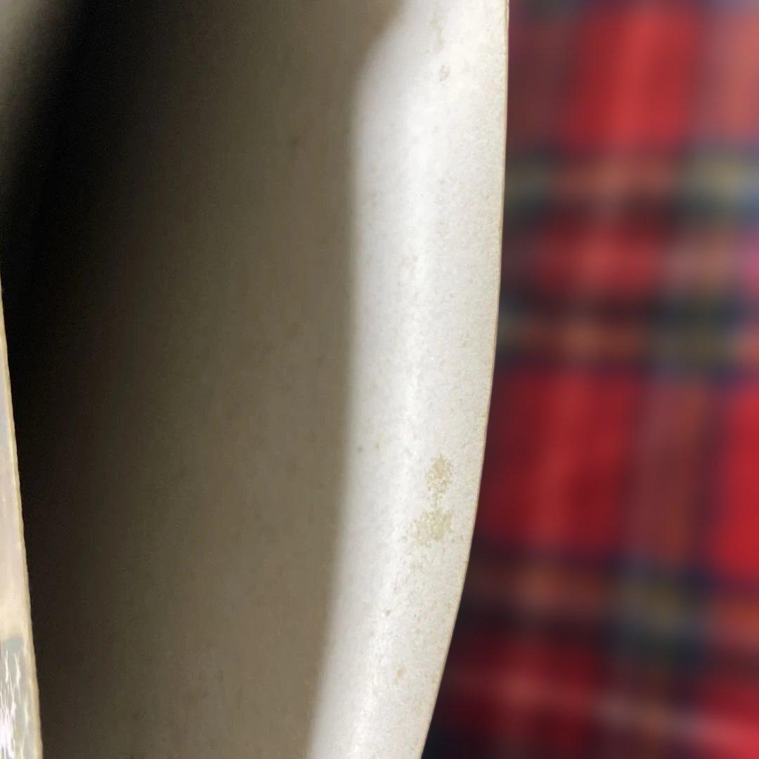 名盤LP Beach Fossils - What a Pleasure