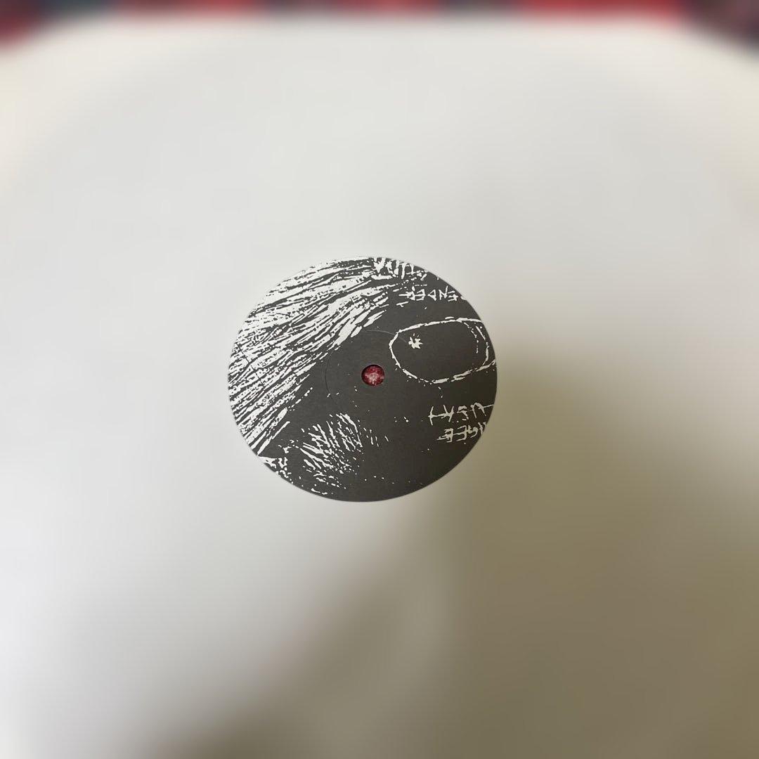 名盤LP Beach Fossils - What a Pleasure