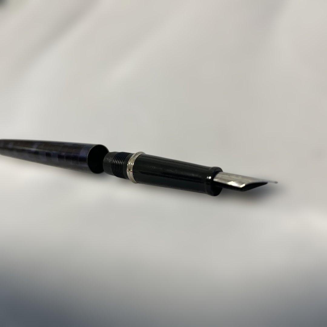 ボールペン、万年筆　ケース付き