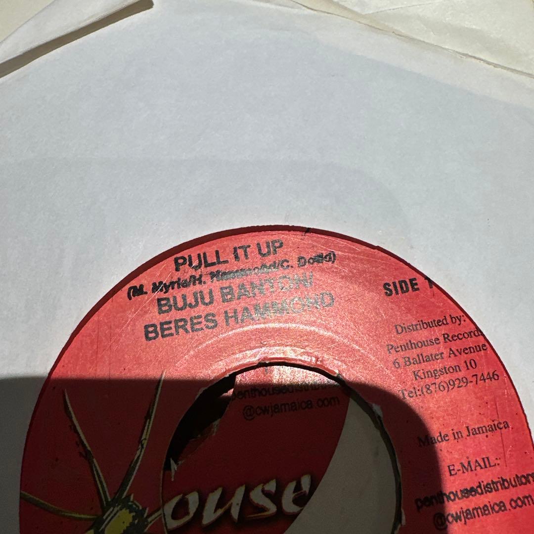 Penthouse20枚セット