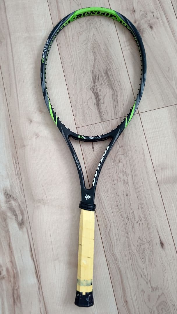 ダンロップ バイオミメティック 100