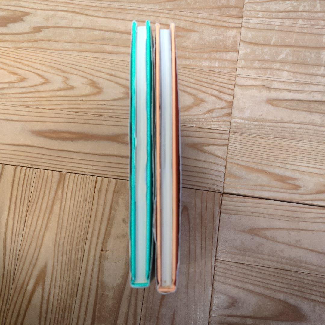 【2冊セット】 松本大洋 イラスト集100＆ 101