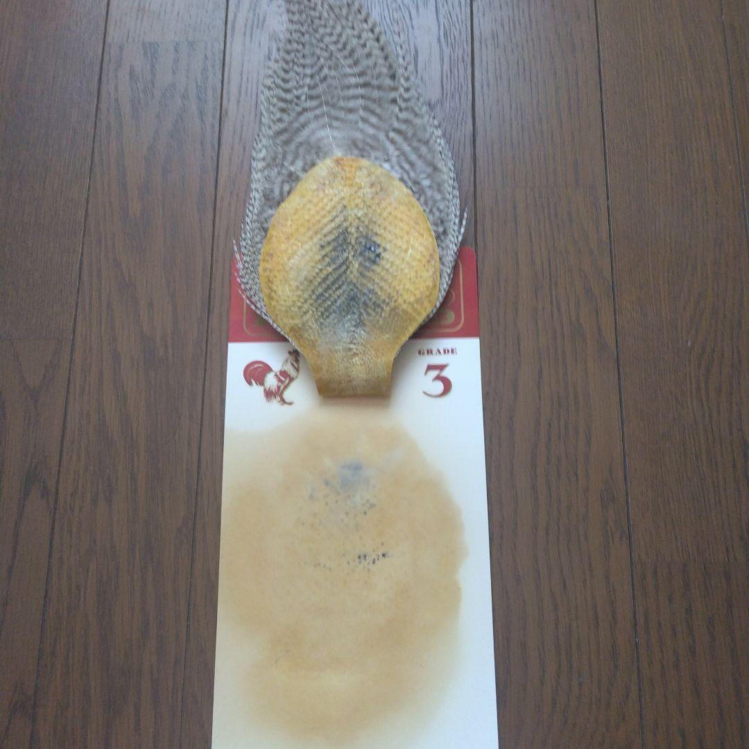 ホフマン ハックル　未使用　グレード3 グリズリー