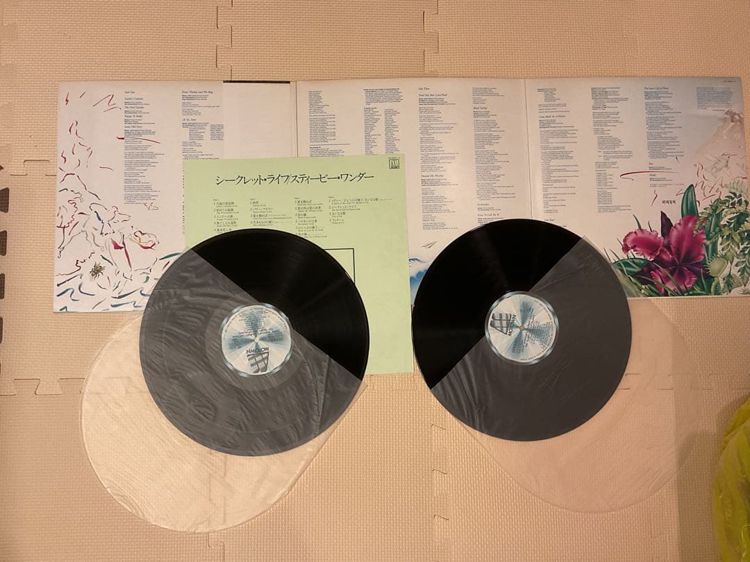 スティーヴィー・ワンダー The Secret Life of Plants