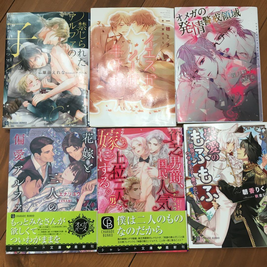 文学・小説　BL 32冊セット