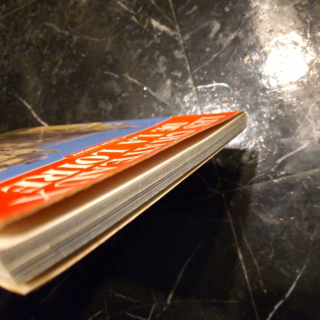 LES CHATEAUX DE LA LOIRE ロワール渓谷の城 仏語 洋書