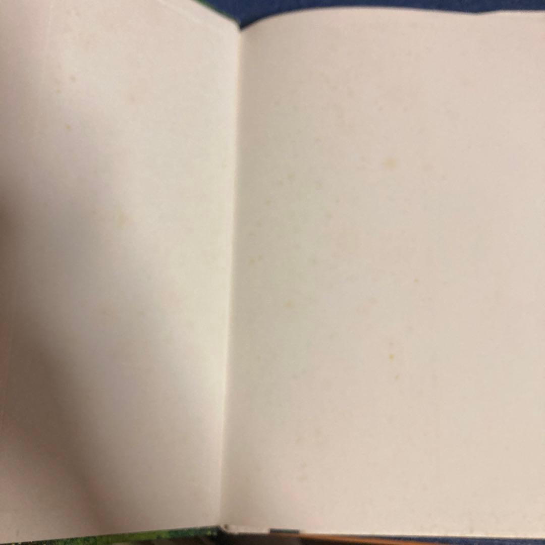 初版　金のまきば　大貫妙子　絵本　 DVD