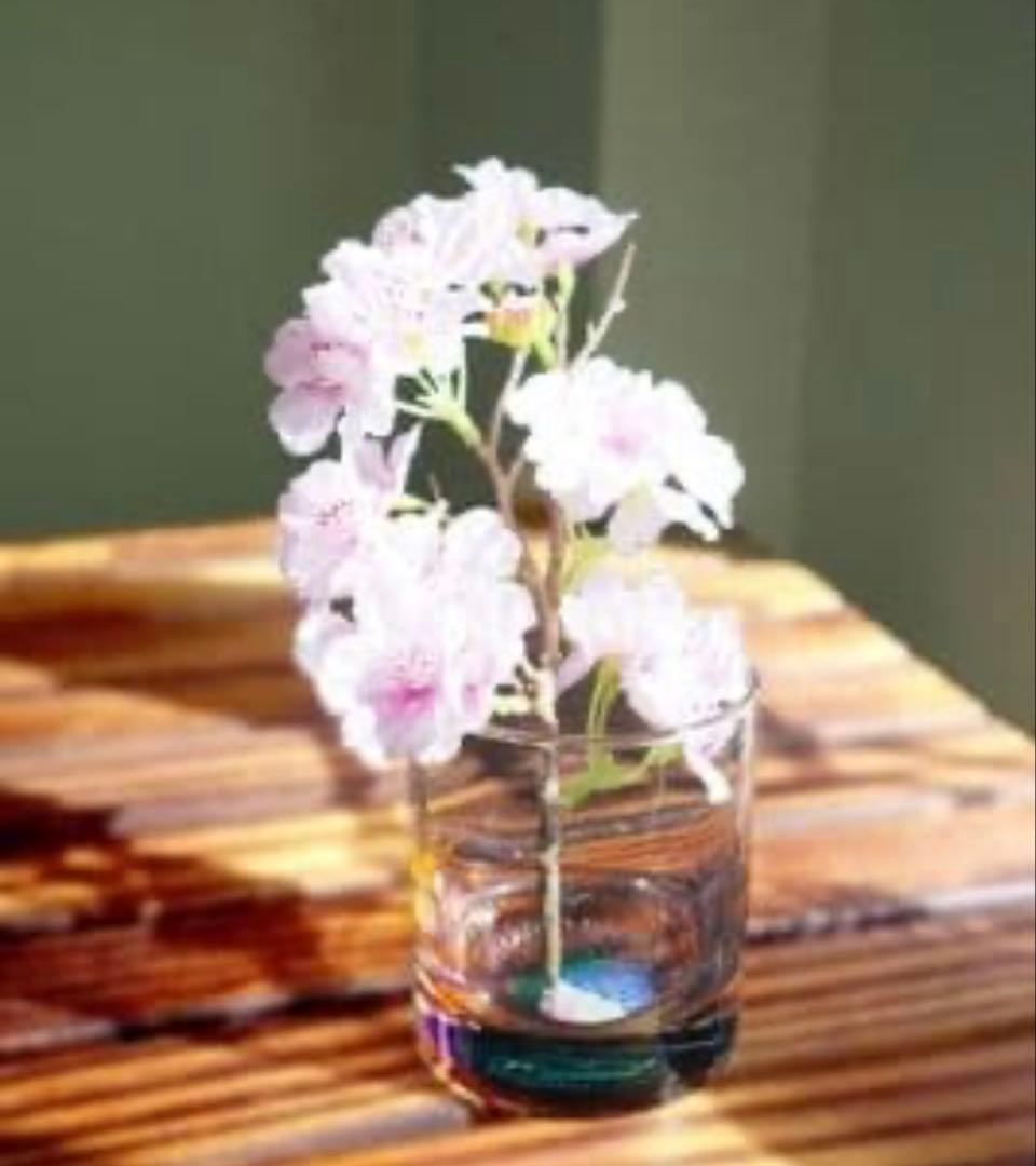 サザンオールスターズ「THANK YOU SO MUCH‼︎」感謝満開BOX