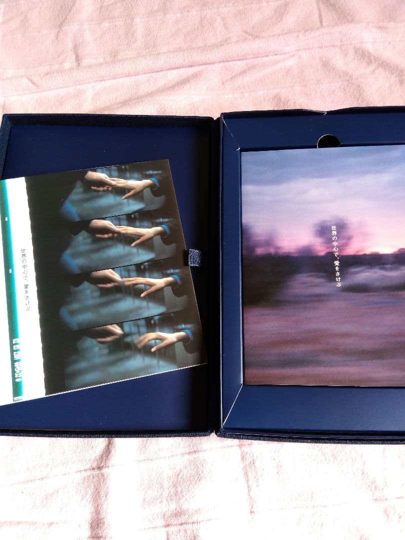 世界の中心で、愛をさけぶ　DVD-BOX　完全予約限定生産　大沢たかお長澤まさみ