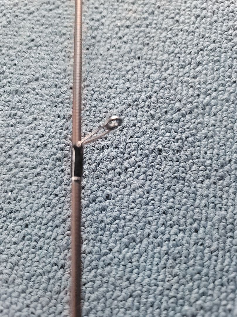 シルバーナラゴ　63 Versatility　塊根倶楽部様