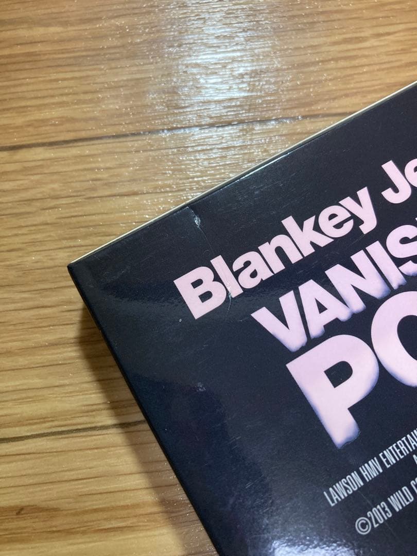 希少 DVD BLANKEY JET CITY VANISHING POINT