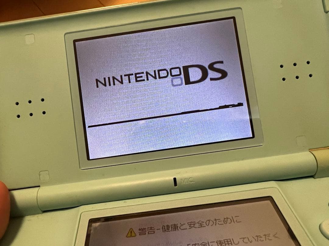Nintendo Switch Nintendo DS lite