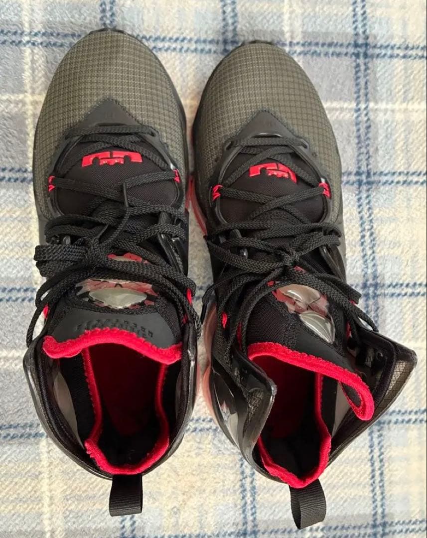 ナイキ レブロン19 (Bred) サイズ29cm