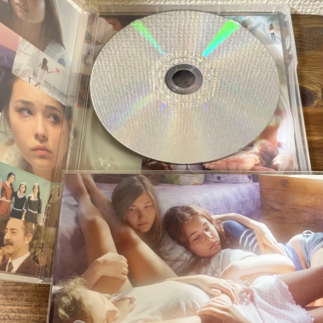 【廃盤/セル版】裸足の季節 MUSTANG DVD