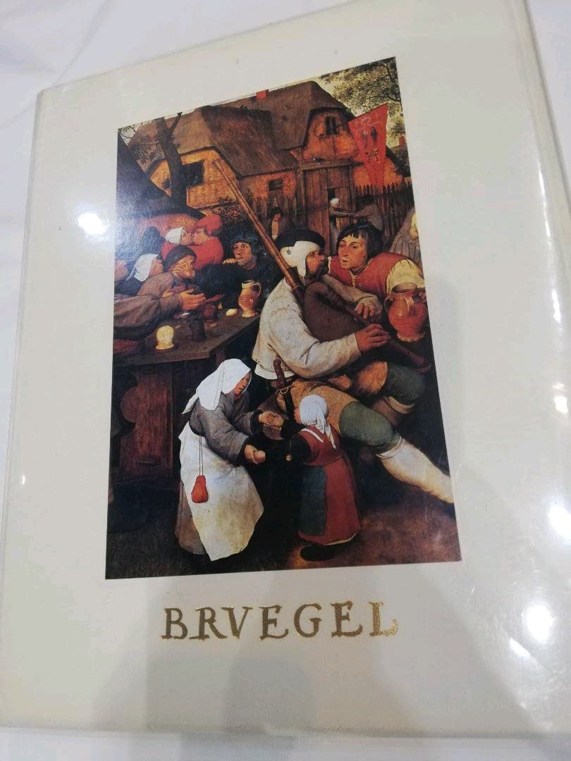 語学・辞書・学習参考書 BRVEGEL