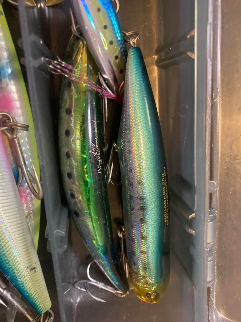 シーバス引退セット